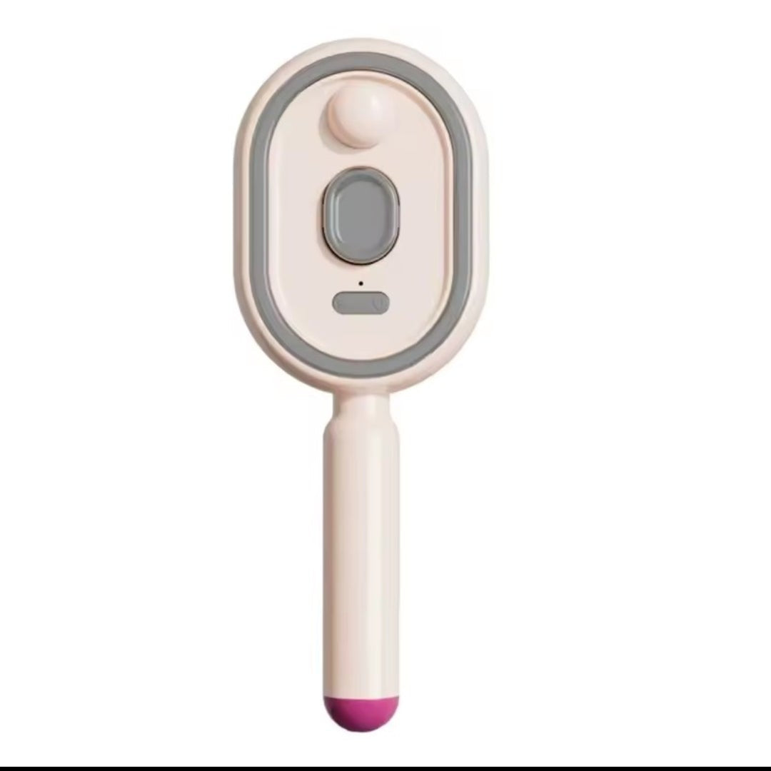 Multi-functional Electric Steam Hair Brush & Massage Comb