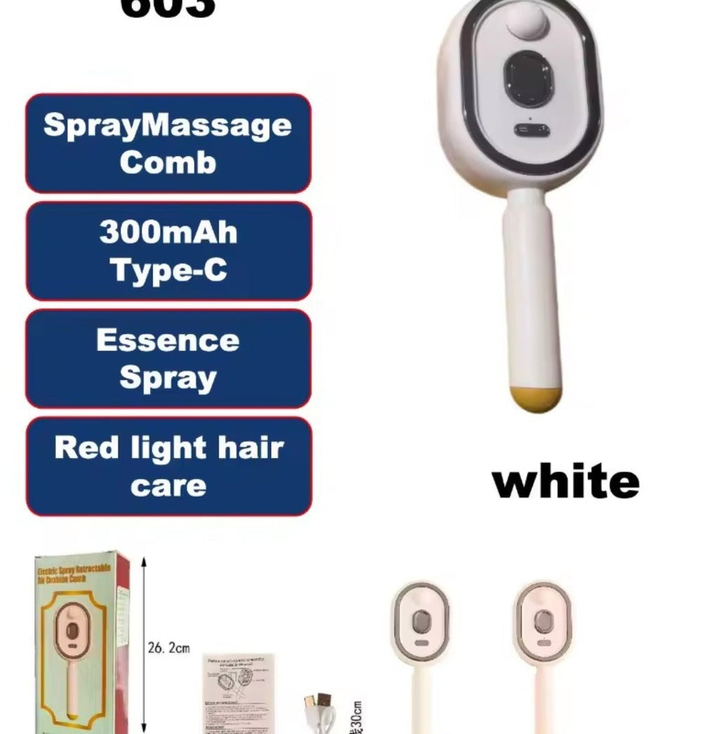 Multi-functional Electric Steam Hair Brush & Massage Comb