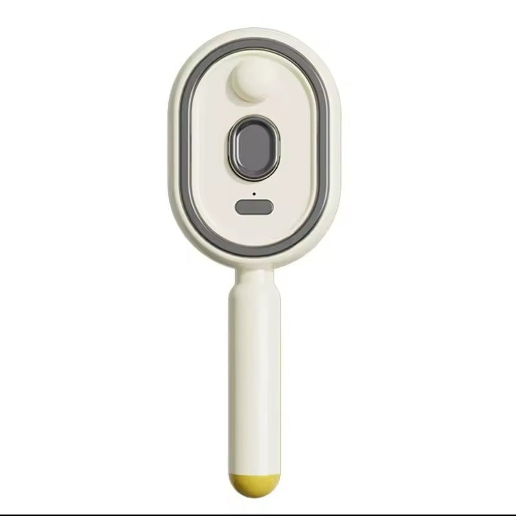 Multi-functional Electric Steam Hair Brush & Massage Comb