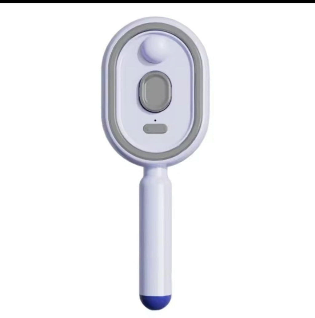Multi-functional Electric Steam Hair Brush & Massage Comb